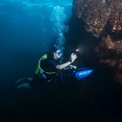 Scooter sous-marin 220Li Yamaha Scooter sous-marin 220Li Yamaha