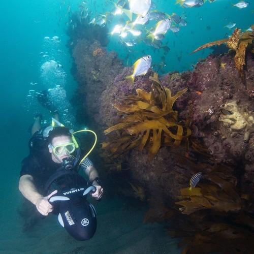 Scooter sous-marin Yamaha RDS280