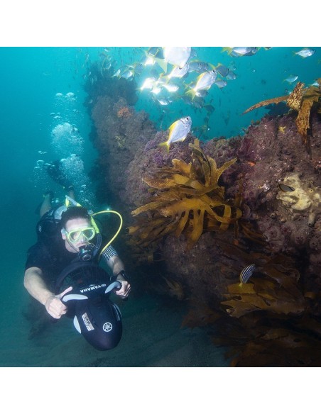 Scooter sous-marin Yamaha RDS280