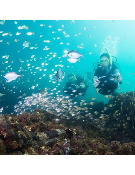 Scooter sous-marin Yamaha RDS280