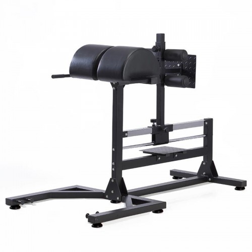 Appareil abdos-lombaires TOORX WBX-300