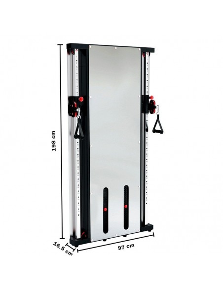 Double  poulies cross cable TOORX Chrono Pro Line PRX-3500