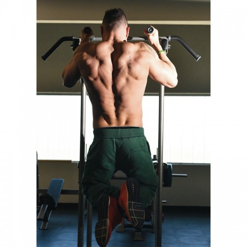 Structure pour Chin/Dip/Leg raise...